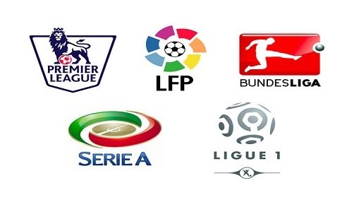 版图和多样 版图和多样